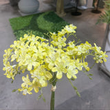PA10403 MINI FREESIA BUNDLEx6 13"