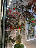 TR10917 CAPENSIA TREE  8'