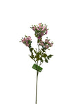 FL13514 STEPHANOTIS SPRAYx3 32"