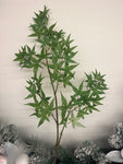 SY10791 JAPANESE MAPLE SPRAYS 32in