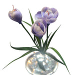 FN20056  CROCUSx3F (NAT) 13"