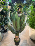UVT1109GYRD POTTED AGAVE (UV),45"