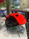 AC10525 LADYBUG D10in