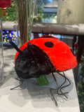 AC10525 LADYBUG D10in