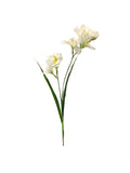 FL13606 FREEZIA SPRAYx2 (NAT) 25in-36/432P