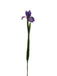 FL13535 DUTCH IRIS SPRAY 30"