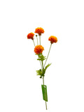 FL13537 MINI POMPOM MUM SPRAYx4F 20"