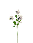 FL13574 PANSY SPRAY 12in-48/480P