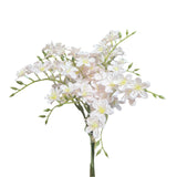 PA10403 MINI FREESIA BUNDLEx6 13"