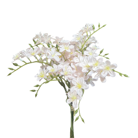 PA10403 MINI FREESIA BUNDLEx6 13"