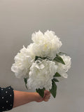 BF10265 PEONY BUSHx5F 18"