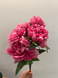 BF10265 PEONY BUSHx5F 18"