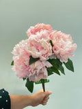 BF10265 PEONY BUSHx5F 18"