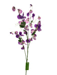 FL13512 SWEET PEA SPRAYx5 55"