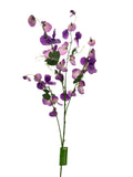 FL13512 SWEET PEA SPRAYx5 55"