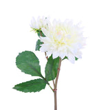 FL10810 DAHLIA SPRAYx1F1B,22in-12P/96/7.58'