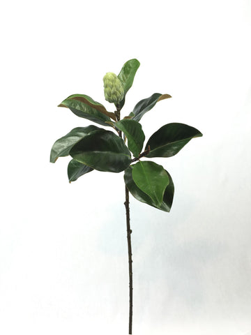 FL10815 MAGNOLIA LVS SP w/BUD,35in-12P/72