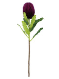 FL13097 BANKSIA SPRAY 25.5"