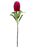 FL13097 BANKSIA SPRAY 25.5"