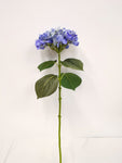 FL13303 HYDRANGEA (NAT),26"