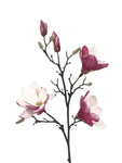 FL13427 MAGNOLIA SPRAYx3F2B 40"