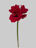 FL13503 AMARYLLIS SPRAYx3F1B 24"