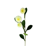 FL13511 SCABIOSA SPRAY 22.5"