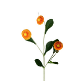 FL13511 SCABIOSA SPRAY 22.5"