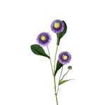 FL13511 SCABIOSA SPRAY 22.5"
