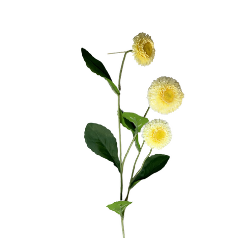 FL13511 SCABIOSA SPRAY 22.5"