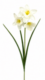 FL13578 DAFFODIL SPRAY 23in-48/480P