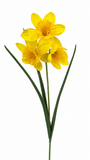 FL13578 DAFFODIL SPRAY 23in-48/480P