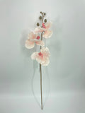FL13581 VANDA ORCHIDx3F(NAT) 29.5in-24/240P