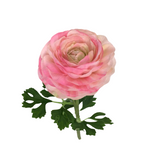 FL13591  RANUNCULUS SPRAYx2 (NAT) 18.5"