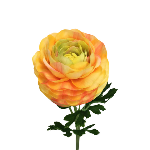 FL13591  RANUNCULUS SPRAYx2 (NAT) 18.5"