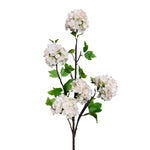 FL13602 VIBURNUM SPRAYx5F 45"