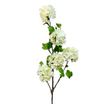 FL13602 VIBURNUM SPRAYx5F 45"