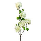 FL13602 VIBURNUM SPRAYx5F 45"