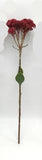 FL13631 SEDUM SPRAY,24"