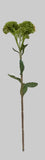 FL13631 SEDUM SPRAY,24"