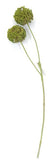 FL13632 ALLIUM SPRAYx2,26"