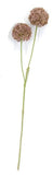 FL13632 ALLIUM SPRAYx2,26"