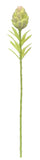 FL13633 ARTICHOKE SPRAY,22"