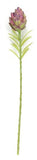 FL13633 ARTICHOKE SPRAY,22"