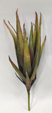 FL13635 EVA AGAVE PLANTS,26"