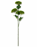 FL13706 QUEEN ANN LACE SPRAYx3  38"