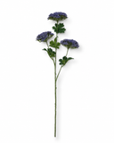 FL13706 QUEEN ANN LACE SPRAYx3  38"