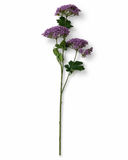 FL13706 QUEEN ANN LACE SPRAYx3  38"