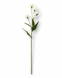 FL13708 CORN FLOWER SPRAY  32.5"