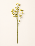 FL13709 VERBENA SPRAY  37.5"